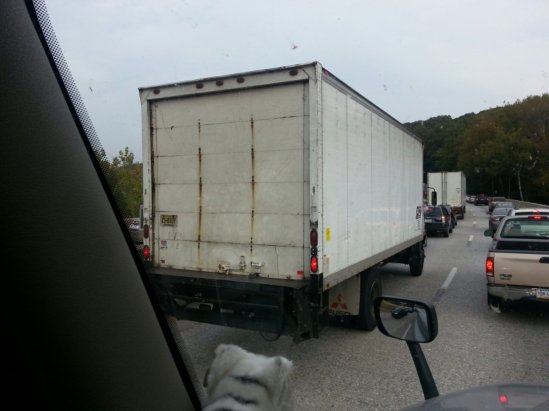 IMG_20131003_164838.jpg image